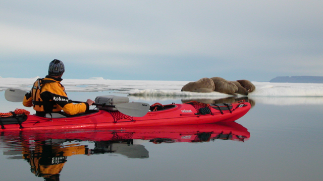 Image from Abandoned in the Artic